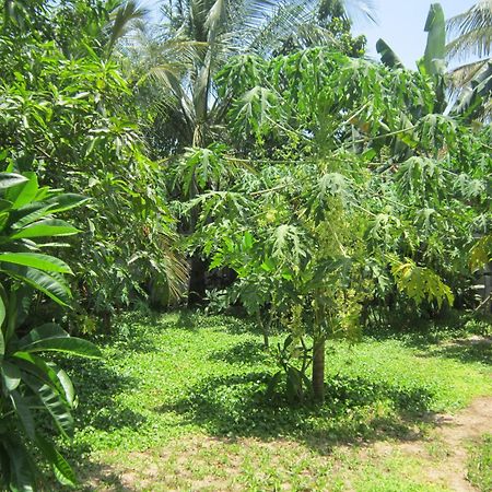 Local Beach Homestay Хойан Экстерьер фото