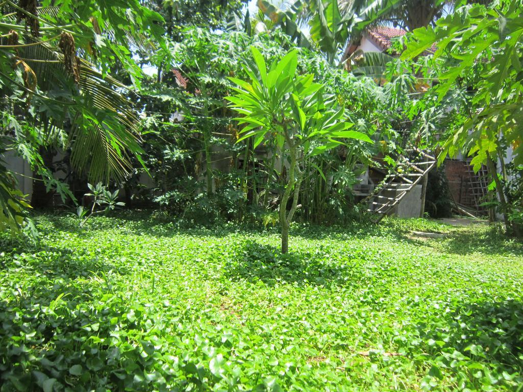 Local Beach Homestay Хойан Экстерьер фото