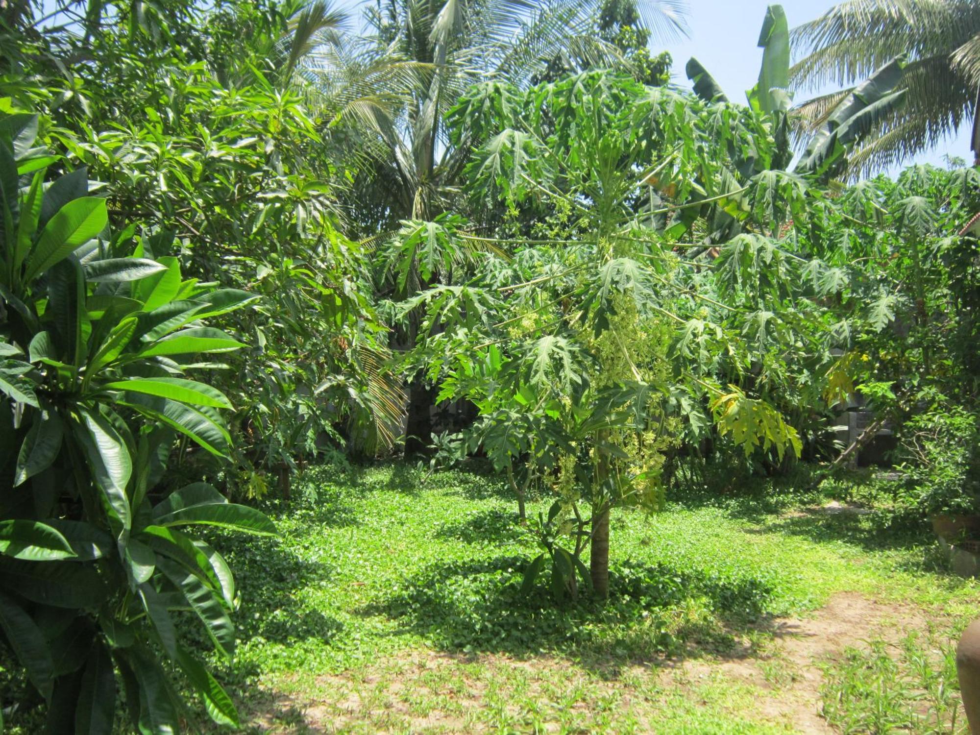 Local Beach Homestay Хойан Экстерьер фото